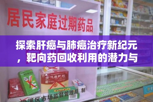 哈尔滨探索肝癌与肺癌治疗新纪元，靶向药回收利用的潜力与挑战