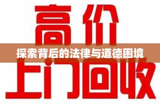 哈尔滨探索背后的法律与道德困境