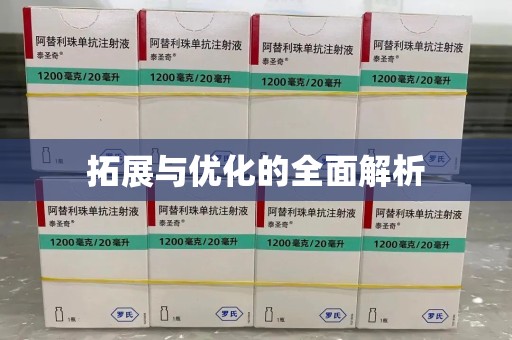 哈尔滨拓展与优化的全面解析