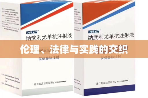 哈尔滨伦理、法律与实践的交织