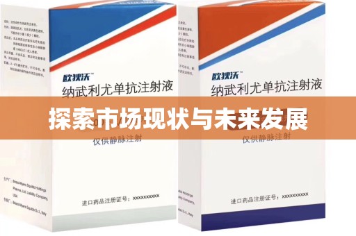 哈尔滨探索市场现状与未来发展