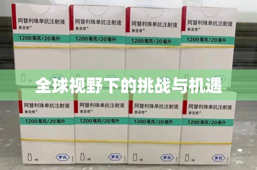 哈尔滨全球视野下的挑战与机遇