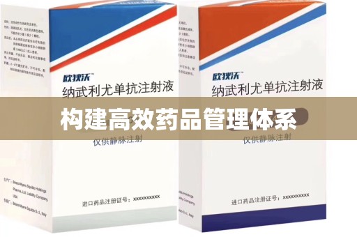 哈尔滨构建高效药品管理体系