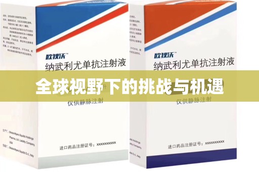 哈尔滨全球视野下的挑战与机遇