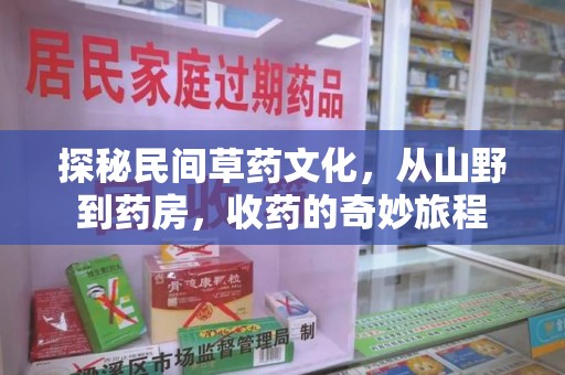 哈尔滨探秘民间草药文化，从山野到药房，收药的奇妙旅程